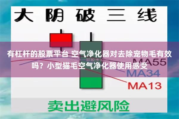 有杠杆的股票平台 空气净化器对去除宠物毛有效吗？小型猫毛空气净化器使用感受