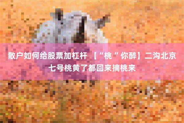 散户如何给股票加杠杆 【“桃 ”你醉】二沟北京七号桃黄了都回来摘桃来