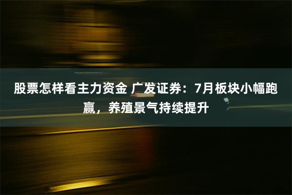 股票怎样看主力资金 广发证券：7月板块小幅跑赢，养殖景气持续提升