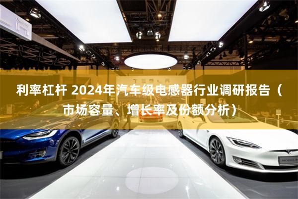 利率杠杆 2024年汽车级电感器行业调研报告（市场容量、增长率及份额分析）