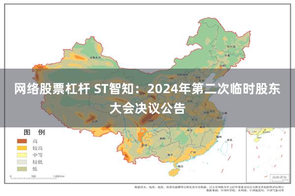 网络股票杠杆 ST智知：2024年第二次临时股东大会决议公告