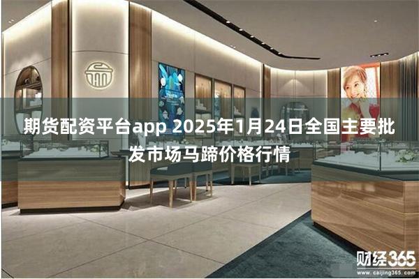 期货配资平台app 2025年1月24日全国主要批发市场马蹄价格行情