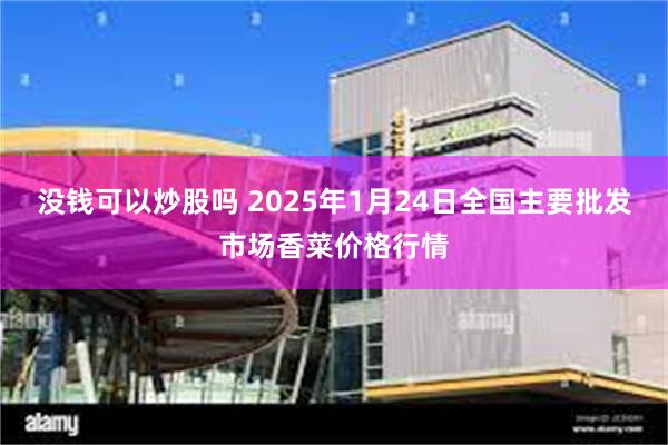 没钱可以炒股吗 2025年1月24日全国主要批发市场香菜价格行情