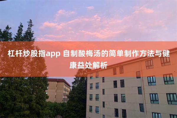 杠杆炒股指app 自制酸梅汤的简单制作方法与健康益处解析