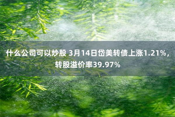 什么公司可以炒股 3月14日岱美转债上涨1.21%，转股溢价率39.97%