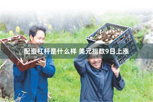 配资杠杆是什么样 美元指数9日上涨